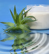 Aloe Vera Cream
