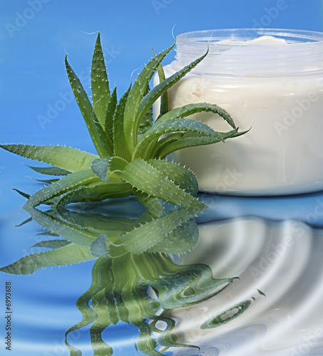 Photo: Aloe Vera Cream Aloe Vera Cream