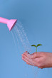 pouring plant