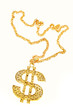 Dollar symbol necklace isolated