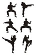 silhouettes of the people, single combat