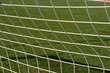 goalpost net detail