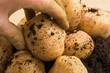 organic potatoe