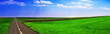 Landscape panoramic 4