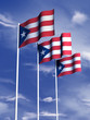 Puerto Rico Flag