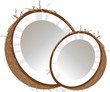 Coconuts