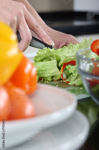 Photo: Chopping vegetables Chopping vegetables