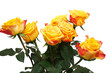 bouquet of yellow roses