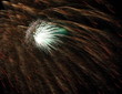 Photo: Fireworks Fireworks
