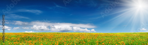 Spring bloom