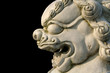 Guardian - stone lion