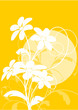 vecteur série - bouquet de fleurs sous le soleil en été