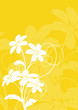  vecteur série - fleur tropicale sous le soleil
