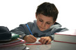 devoirs d'école devoirs d'école