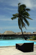 piscine à Tahiti