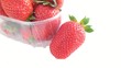ravier de fraises 14