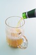 beer infusion