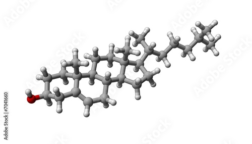 Cholesterol+molecule