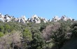Dentelles de Montmirail