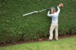 hedge trimming