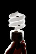 Human hand holding cfl lightbulb vertically