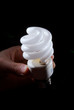 Human hand holding cfl lightbulb