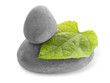 galets zen et feuille