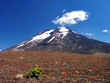 Volcano Lonquimay Volcano Lonquimay
