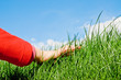 Photo: caressing the grass caressing the grass