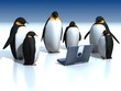 Penguins around laptop