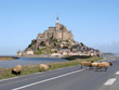 Mont Saint Michel - Traversée de Moutons