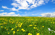 Landschaft Wolken Wiese