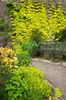 Garden path