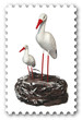 Timbre cigogne