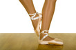 Ballet Workout Poses Ballet Workout Poses