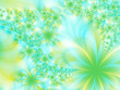 Beautiful flowers