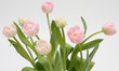 Foto: Blumen rosa weiß Blumen rosa weiß