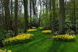 beautiful garden