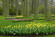 beautiful garden