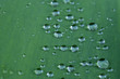 Regentropfen