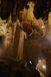 stony congelation in the cave stony congelation in the cave