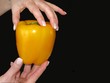 mains montrant un poivron jaune (3)