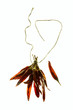 small red chilli pepper