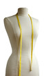 Sewing mannequin