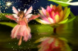 Pond Fairy