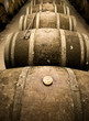 Wine barrels in cellar