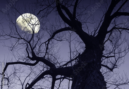 Foto: Moon Moon
