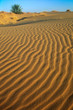 deserto
