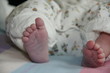 tout petits pieds tout petits pieds