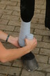 Pferde - Bein bandagieren
